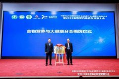 正在全面推进村落